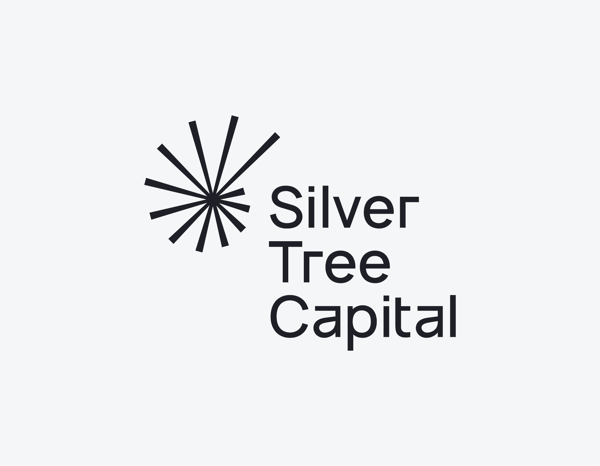 Silver Tree Capital logo