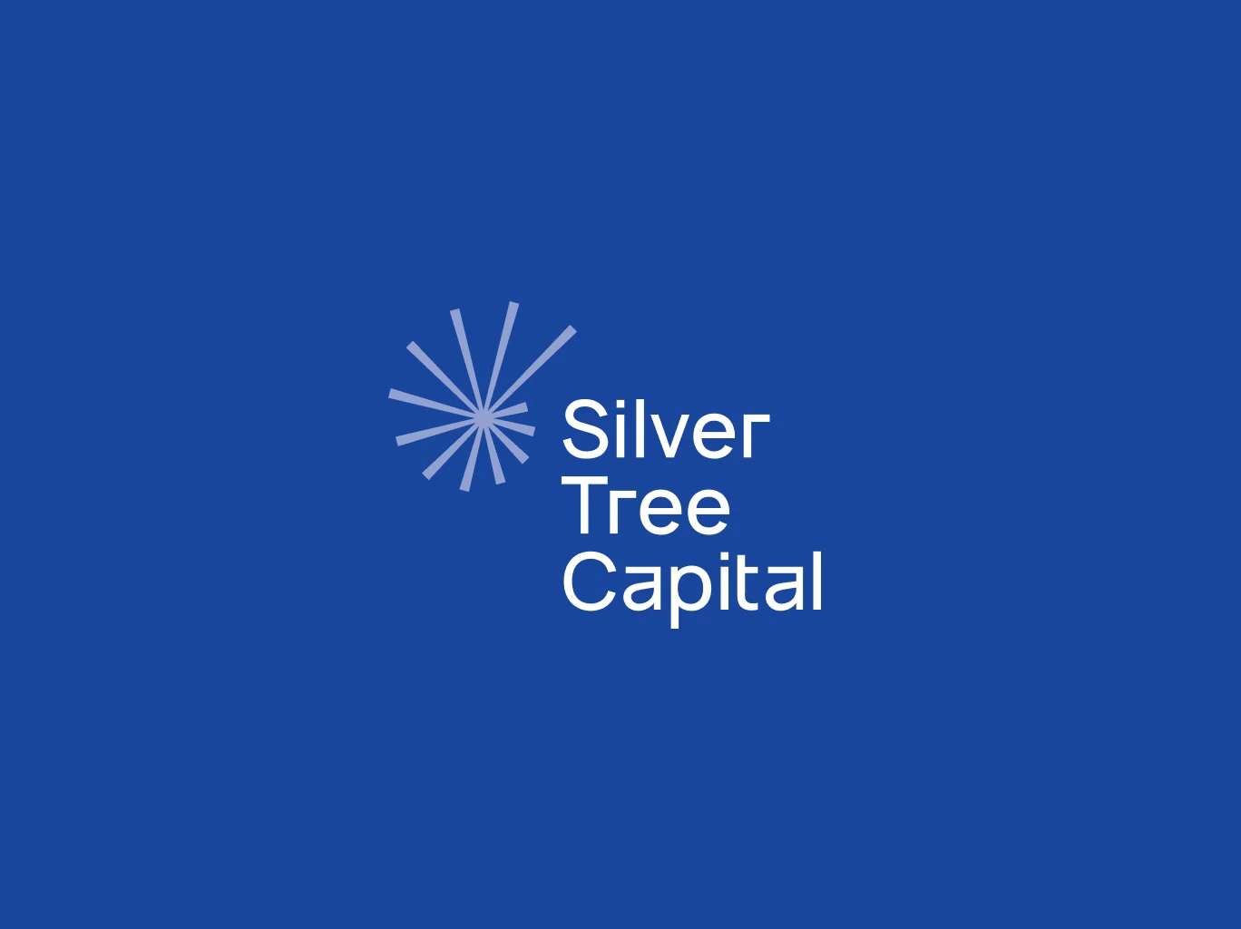 Silver Tree Capital